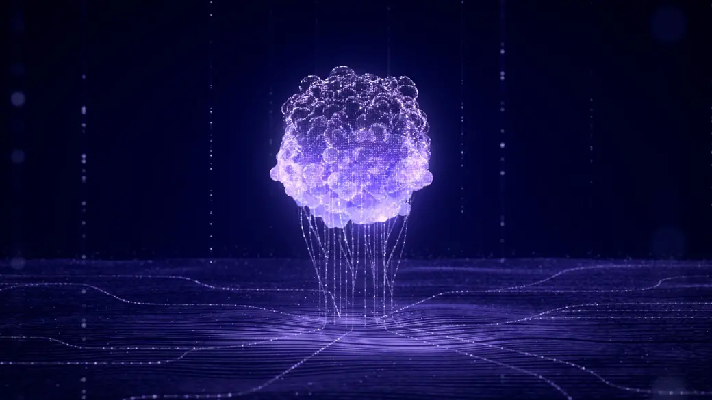 Data centric organoid services for predictive drug response and next generation oncology research